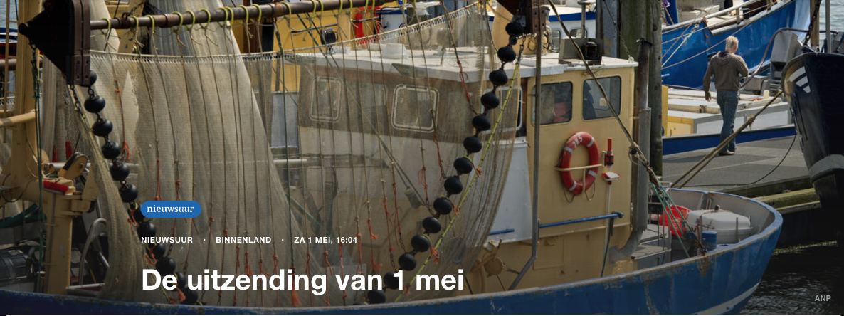 Waar zijn de vissen in de Waddenzee gebleven